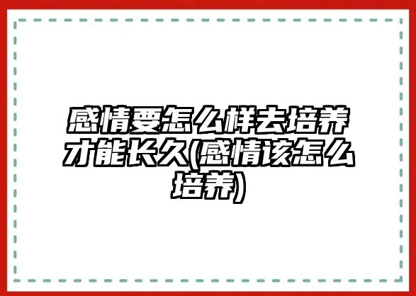 感情要怎么樣去培養(yǎng)才能長久(感情該怎么培養(yǎng))