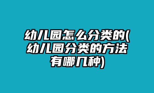 幼兒園怎么分類的(幼兒園分類的方法有哪幾種)