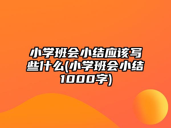 小學班會小結應該寫些什么(小學班會小結1000字)