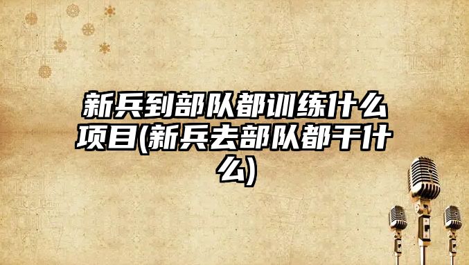 新兵到部隊(duì)都訓(xùn)練什么項(xiàng)目(新兵去部隊(duì)都干什么)