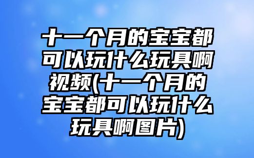 十一個月的寶寶都可以玩什么玩具啊視頻(十一個月的寶寶都可以玩什么玩具啊圖片)