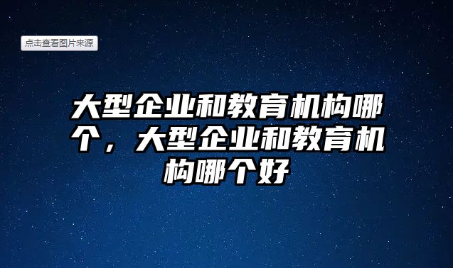 大型企業(yè)和教育機(jī)構(gòu)哪個，大型企業(yè)和教育機(jī)構(gòu)哪個好