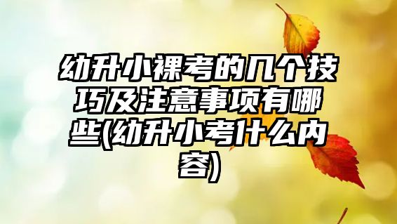 幼升小裸考的幾個技巧及注意事項有哪些(幼升小考什么內(nèi)容)