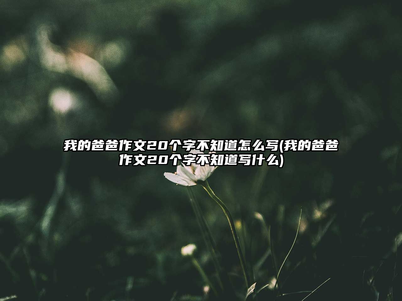 我的爸爸作文20個字不知道怎么寫(我的爸爸作文20個字不知道寫什么)