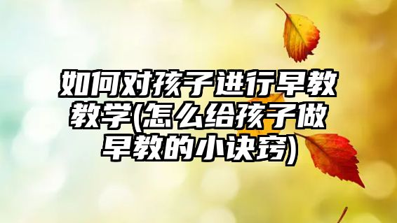 如何對孩子進行早教教學(xué)(怎么給孩子做早教的小訣竅)