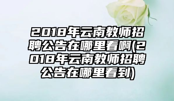 2018年云南教師招聘公告在哪里看啊(2018年云南教師招聘公告在哪里看到)