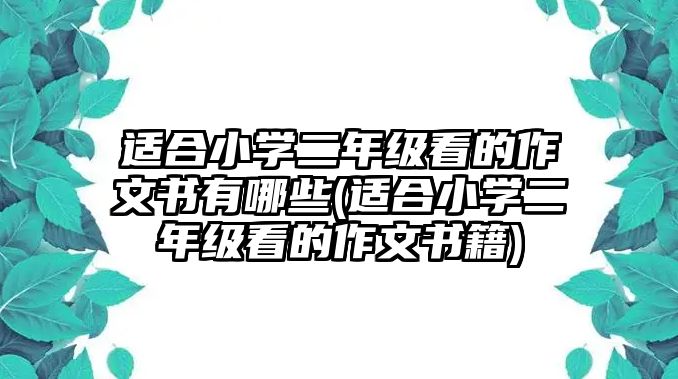 適合小學二年級看的作文書有哪些(適合小學二年級看的作文書籍)