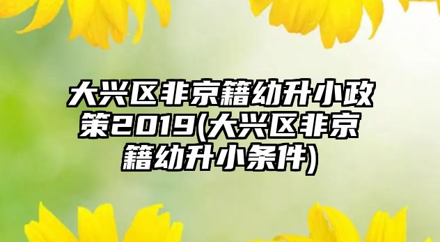 大興區(qū)非京籍幼升小政策2019(大興區(qū)非京籍幼升小條件)