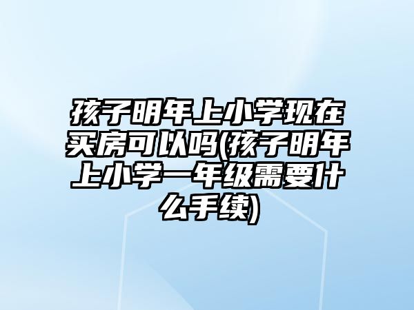 孩子明年上小學(xué)現(xiàn)在買房可以嗎(孩子明年上小學(xué)一年級需要什么手續(xù))