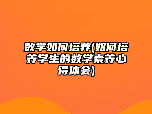 數學如何培養(yǎng)(如何培養(yǎng)學生的數學素養(yǎng)心得體會)