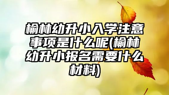 榆林幼升小入學(xué)注意事項是什么呢(榆林幼升小報名需要什么材料)