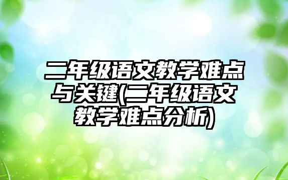 二年級語文教學(xué)難點與關(guān)鍵(二年級語文教學(xué)難點分析)