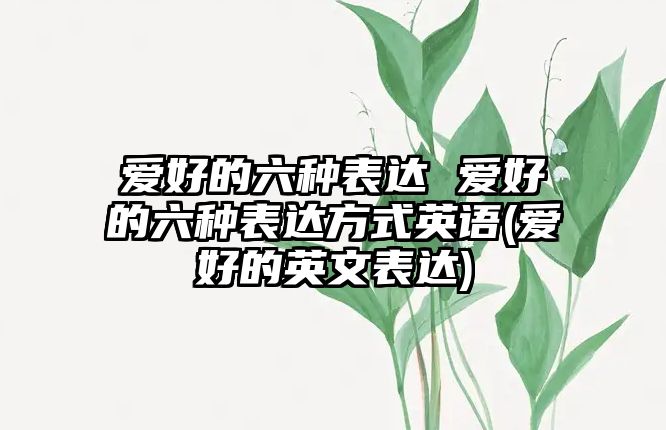 愛好的六種表達 愛好的六種表達方式英語(愛好的英文表達)