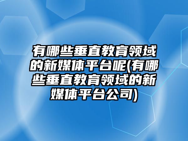 有哪些垂直教育領(lǐng)域的新媒體平臺呢(有哪些垂直教育領(lǐng)域的新媒體平臺公司)