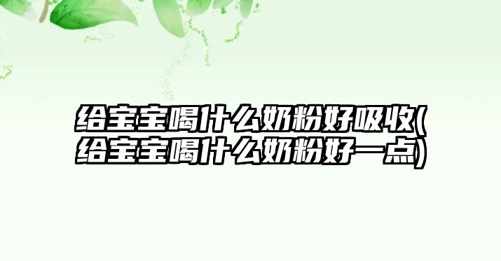 給寶寶喝什么奶粉好吸收(給寶寶喝什么奶粉好一點(diǎn))