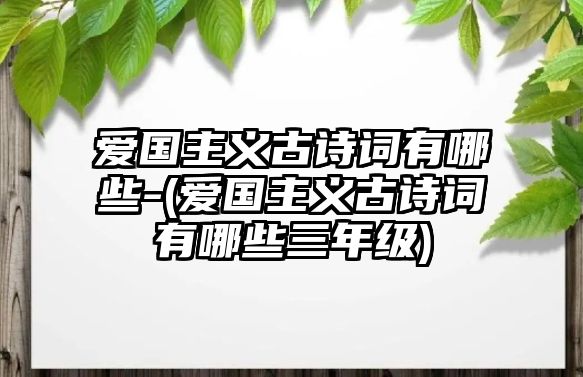 愛(ài)國(guó)主義古詩(shī)詞有哪些-(愛(ài)國(guó)主義古詩(shī)詞有哪些三年級(jí))