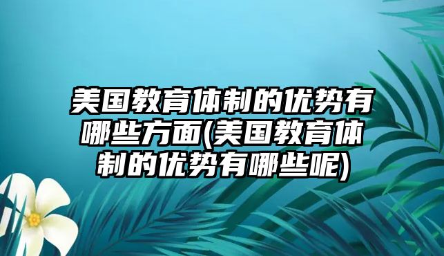 美國(guó)教育體制的優(yōu)勢(shì)有哪些方面(美國(guó)教育體制的優(yōu)勢(shì)有哪些呢)