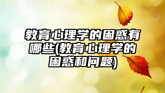 教育心理學(xué)的困惑有哪些(教育心理學(xué)的困惑和問題)