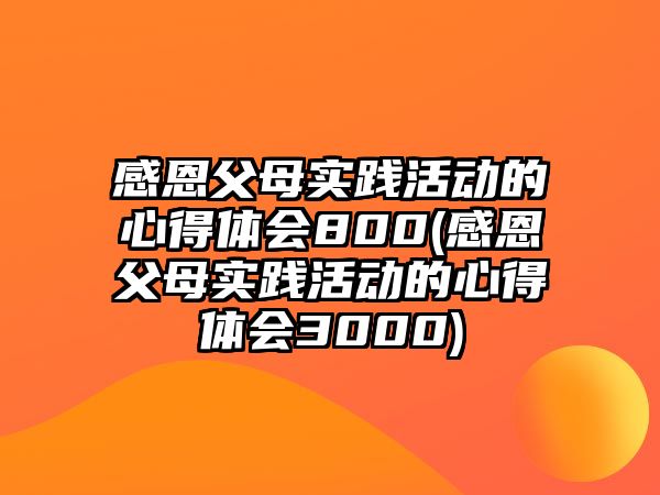 感恩父母實踐活動的心得體會800(感恩父母實踐活動的心得體會3000)