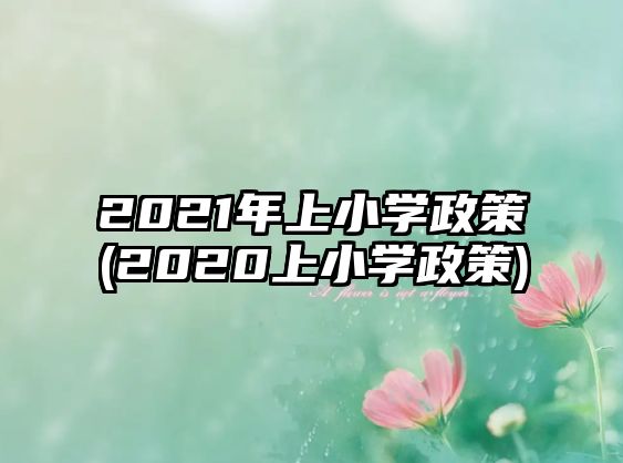 2021年上小學政策(2020上小學政策)