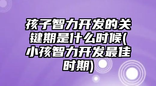 孩子智力開發(fā)的關鍵期是什么時候(小孩智力開發(fā)最佳時期)