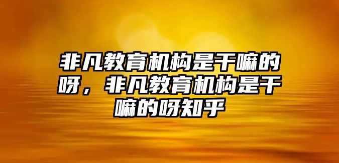 非凡教育機(jī)構(gòu)是干嘛的呀，非凡教育機(jī)構(gòu)是干嘛的呀知乎