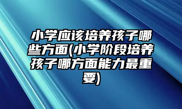 小學(xué)應(yīng)該培養(yǎng)孩子哪些方面(小學(xué)階段培養(yǎng)孩子哪方面能力最重要)