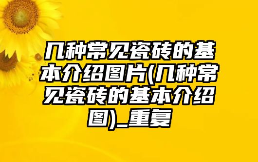 幾種常見瓷磚的基本介紹圖片(幾種常見瓷磚的基本介紹圖)_重復(fù)