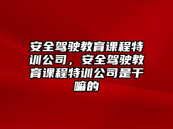 安全駕駛教育課程特訓(xùn)公司，安全駕駛教育課程特訓(xùn)公司是干嘛的