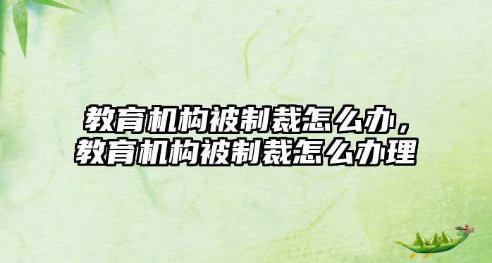 教育機構(gòu)被制裁怎么辦，教育機構(gòu)被制裁怎么辦理