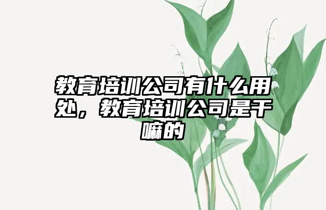 教育培訓(xùn)公司有什么用處，教育培訓(xùn)公司是干嘛的