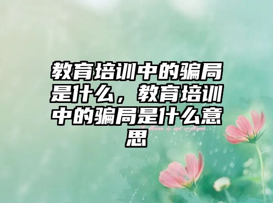 教育培訓(xùn)中的騙局是什么，教育培訓(xùn)中的騙局是什么意思