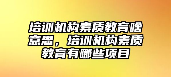 培訓(xùn)機構(gòu)素質(zhì)教育啥意思，培訓(xùn)機構(gòu)素質(zhì)教育有哪些項目