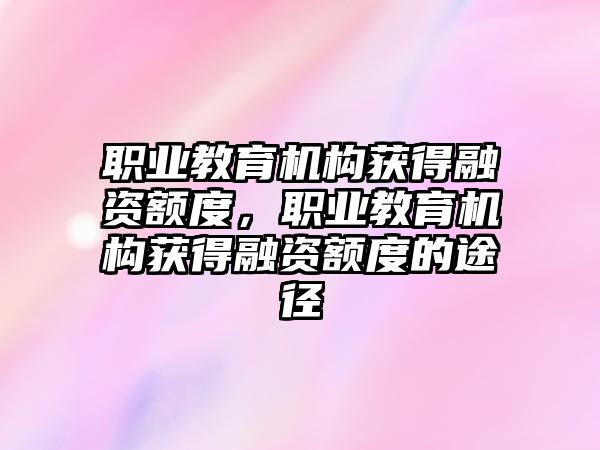 職業(yè)教育機構(gòu)獲得融資額度，職業(yè)教育機構(gòu)獲得融資額度的途徑