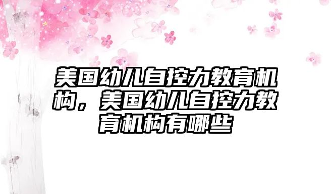 美國幼兒自控力教育機構(gòu)，美國幼兒自控力教育機構(gòu)有哪些